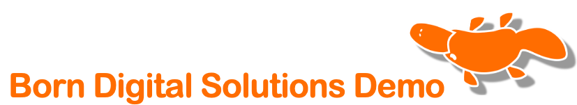 Born Digital Solutions Logo
